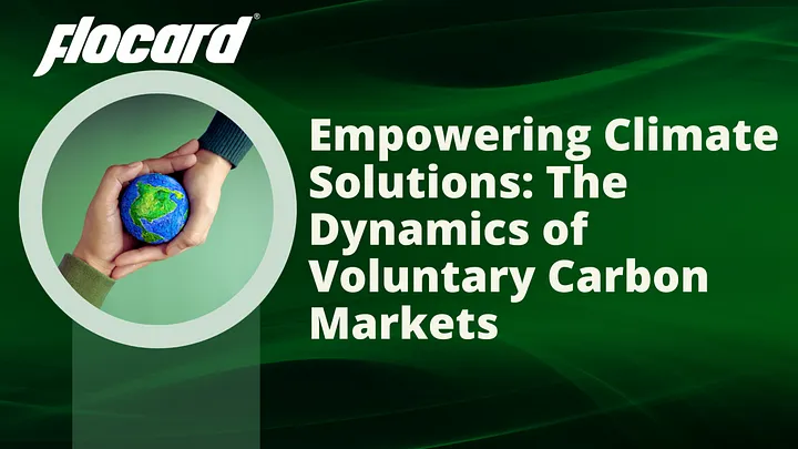 Empowering Climate Solutions: The Dynamics of Voluntary Carbon Markets